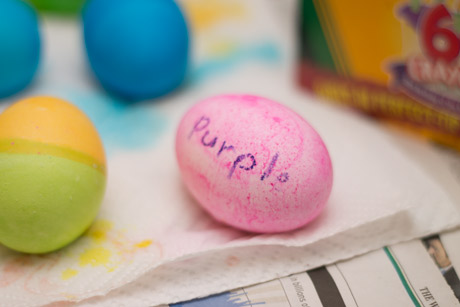 Purple eggs