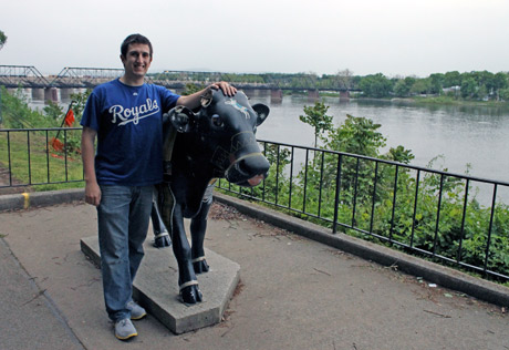 Harrisburg Cow