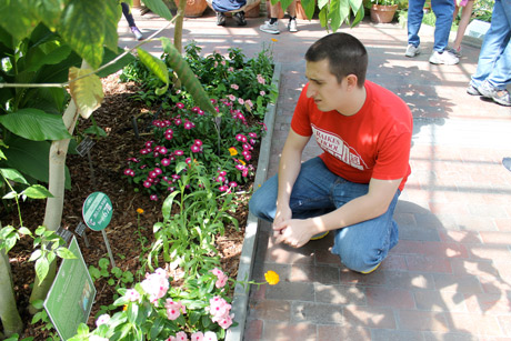 Cole in garden