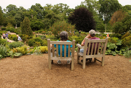 Cathedral garden Bud and Michele