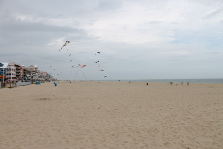 Kites Ocean City