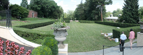 Evergreen Garden