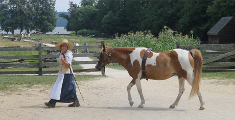 Mount Vernon farm