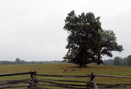 Manassas Battlefield