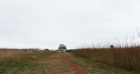 Manassas Battlefield