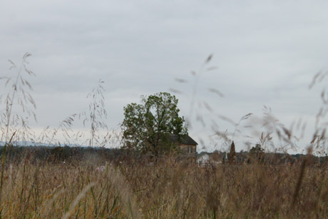 Manassas Battlefield