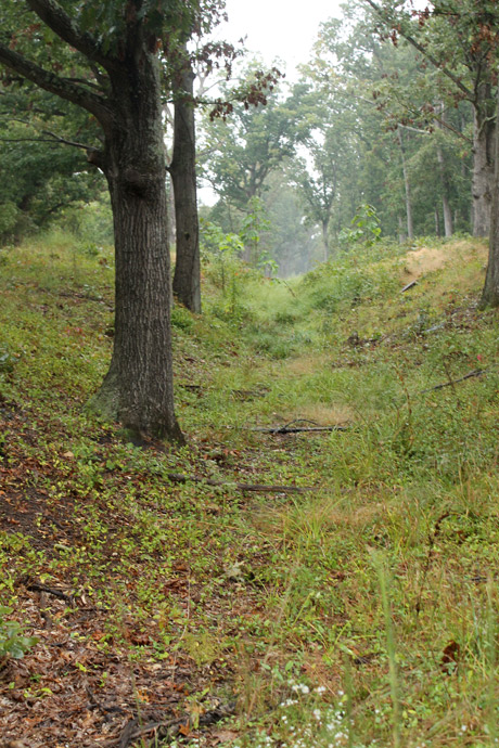 Manassas Battlefield