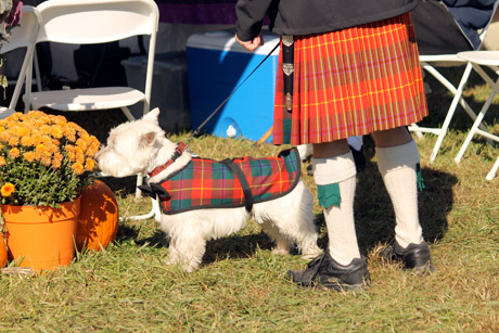 Celtic Festival