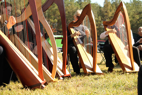 Celtic harps