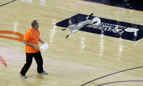 UVA vs. Wisconsin Basketball