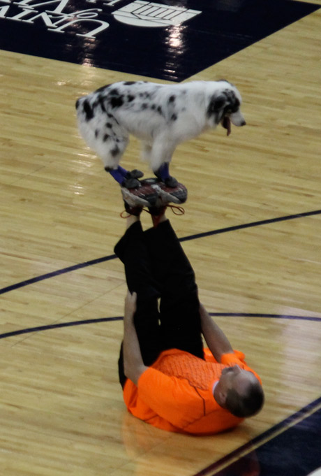 UVA vs. Wisconsin Basketball