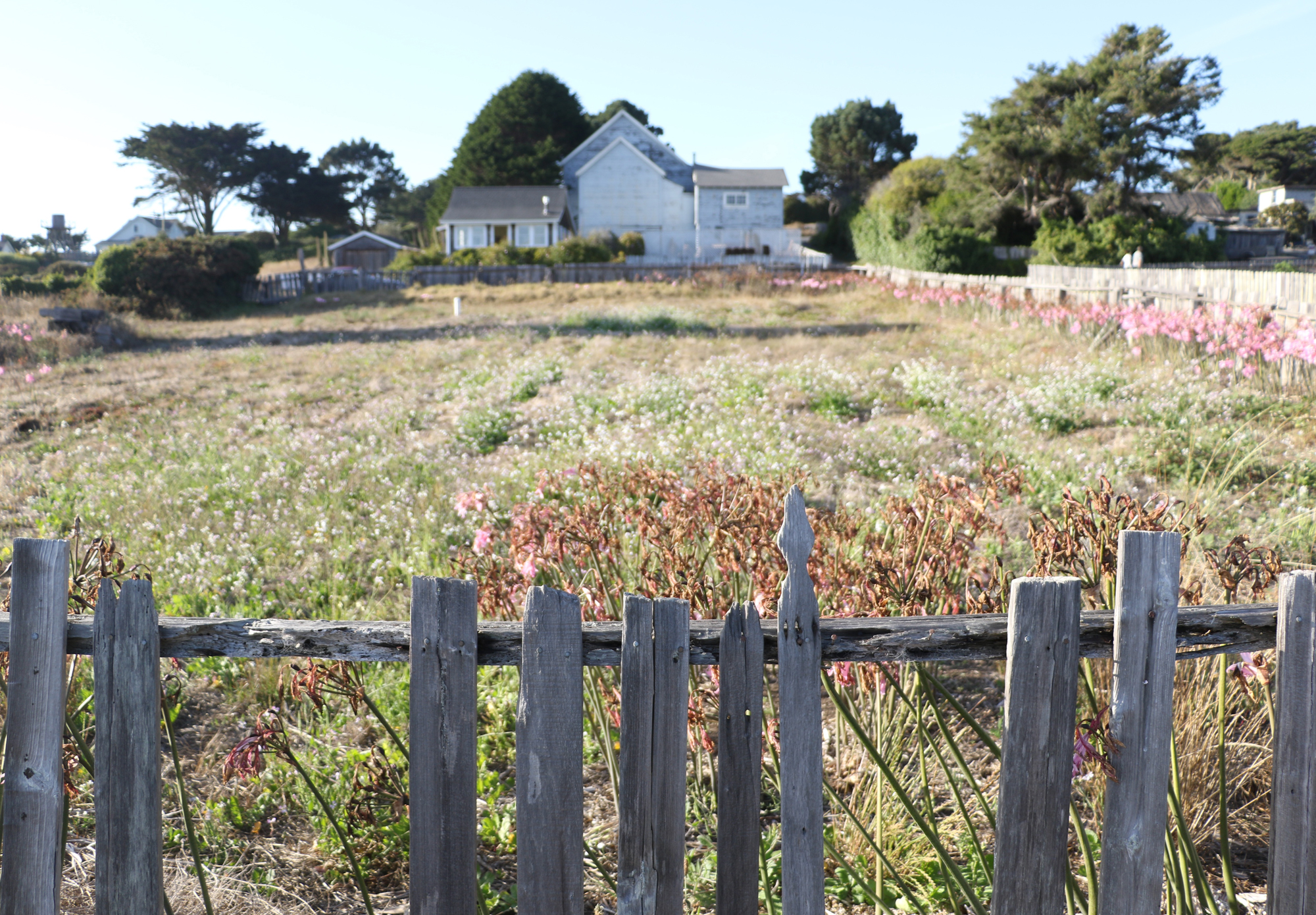 Mendocino_California_Glass_Beach