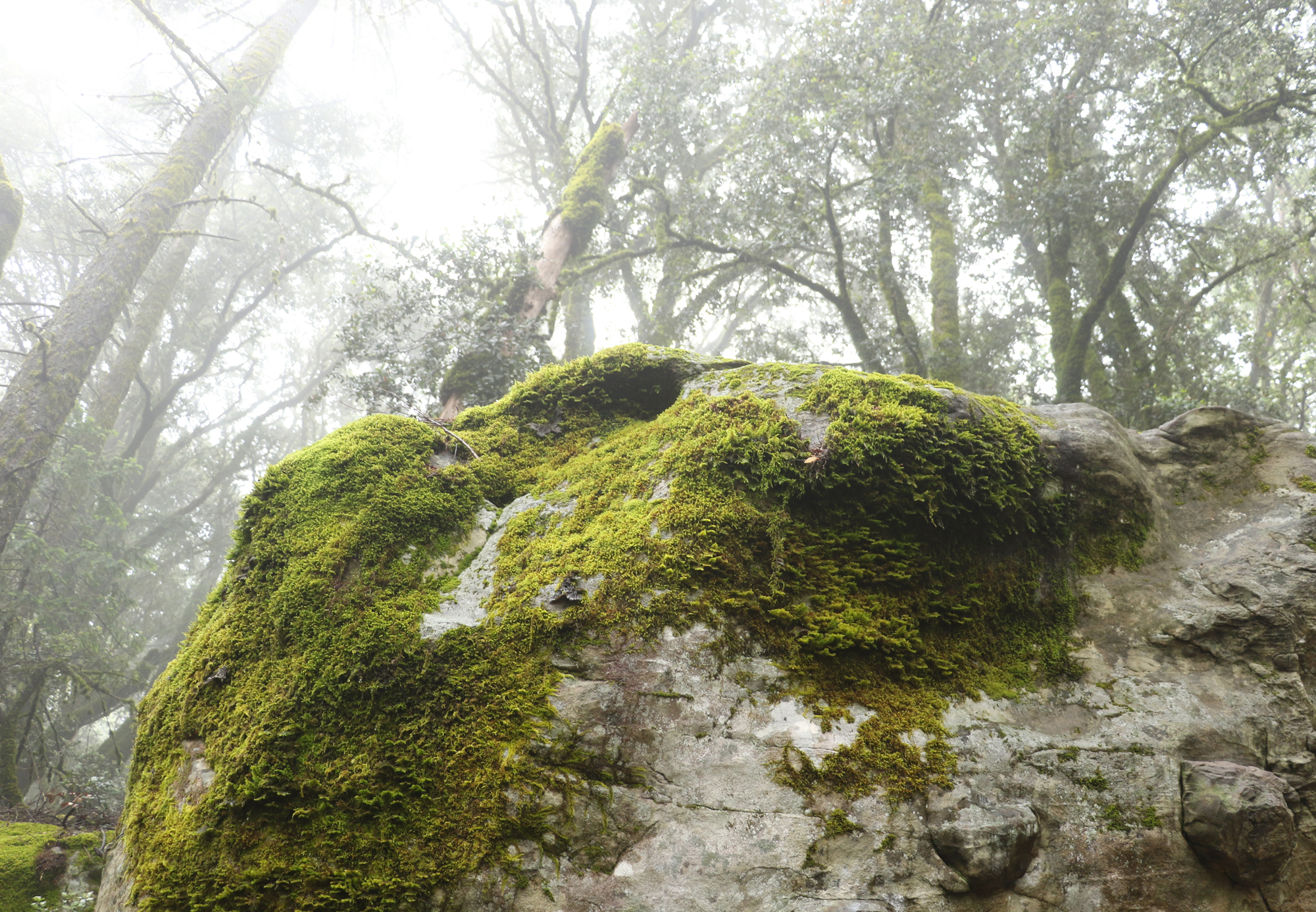 180617_castle_rock_state_park_california