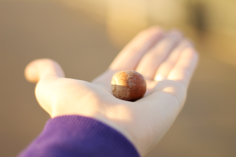 Nature Walk at the Park