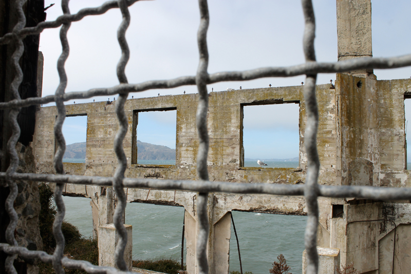 Alcatraz Island