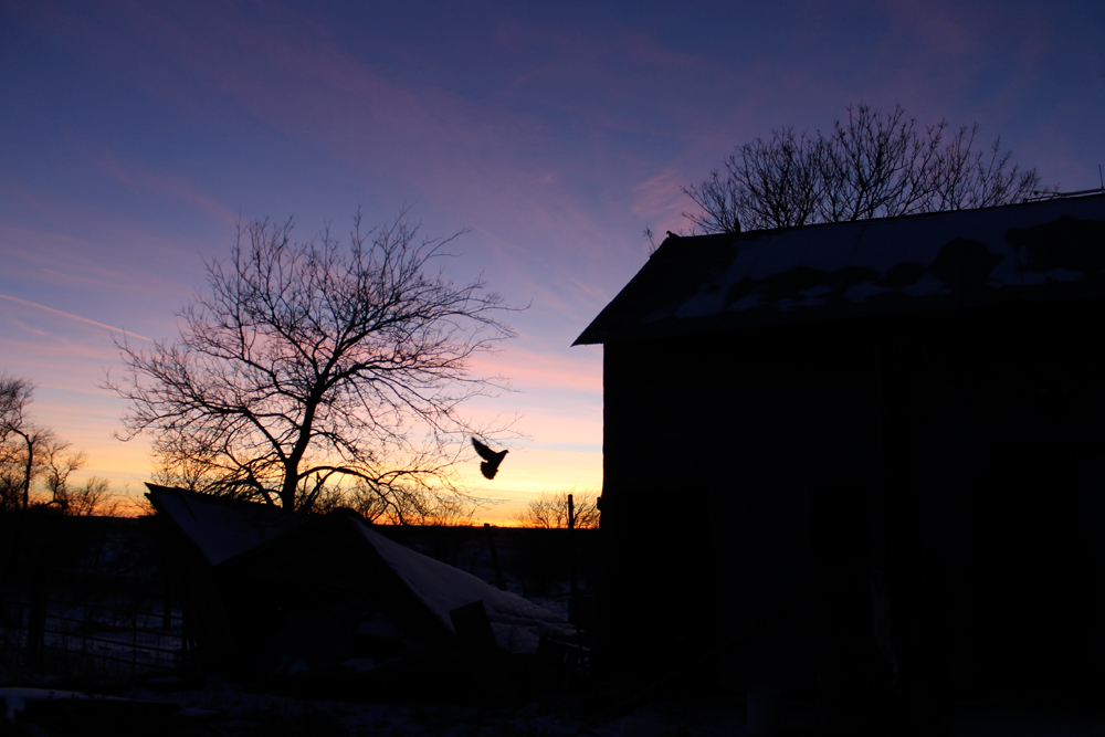 2015_Longaway_farm_barn_sunset