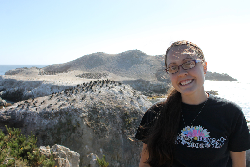 Point Lobos - Bird Island