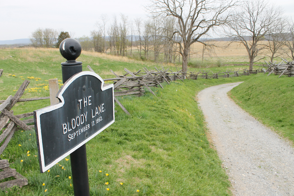 antietam_battlefield_bloody_lane