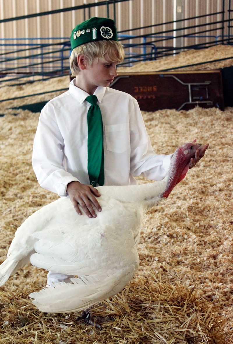 San Mateo County Fair 2014