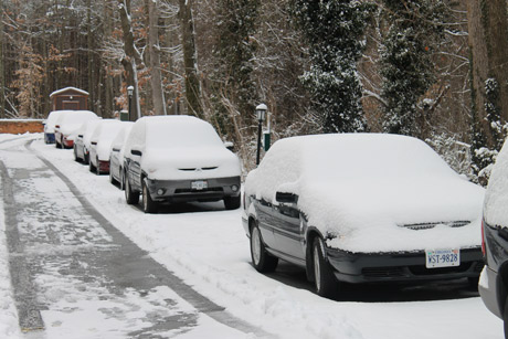 Snow-covered cars