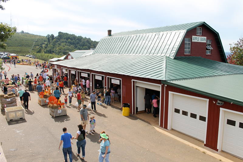 Carter Mountain Orchard