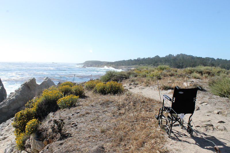 Point Lobos - Chair