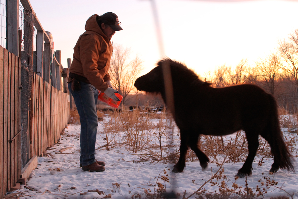 2015_Longaway_farm_coal_dad