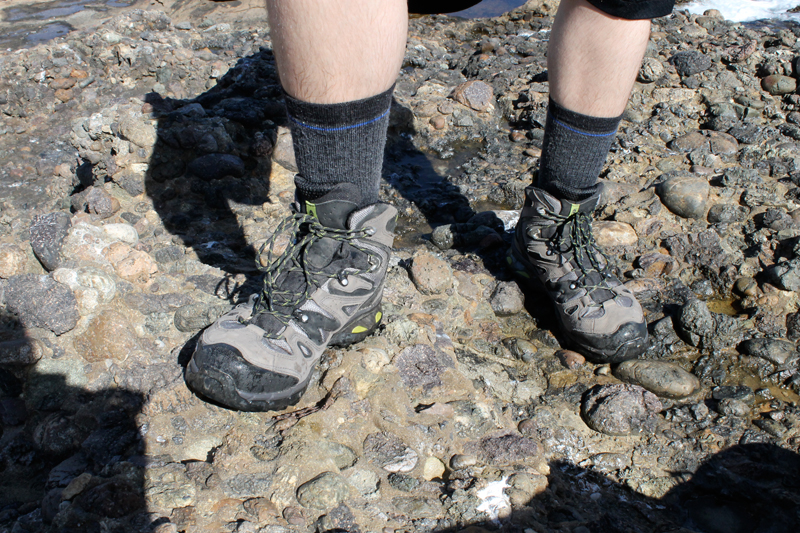 Point Lobos - Wet Boots