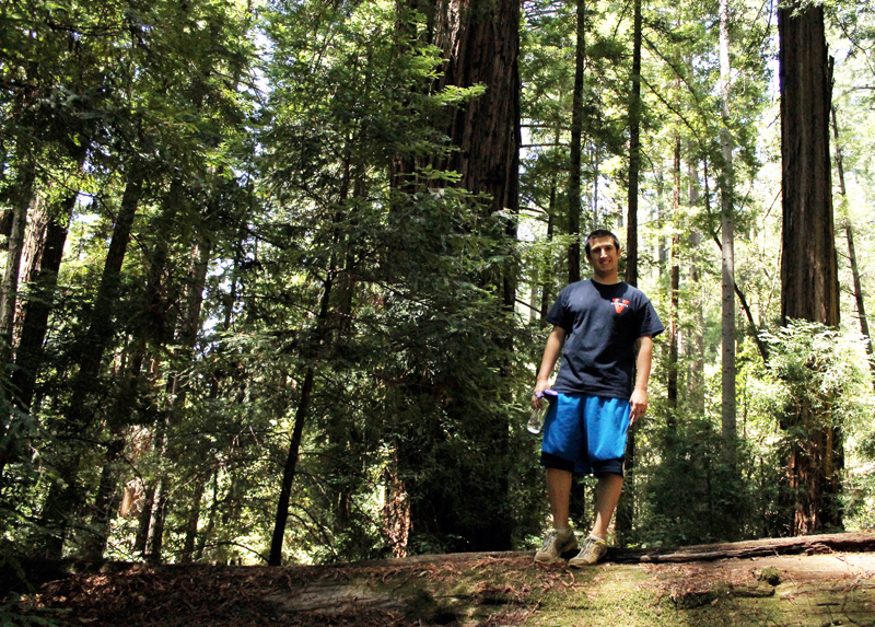 Portola Redwoods State Park