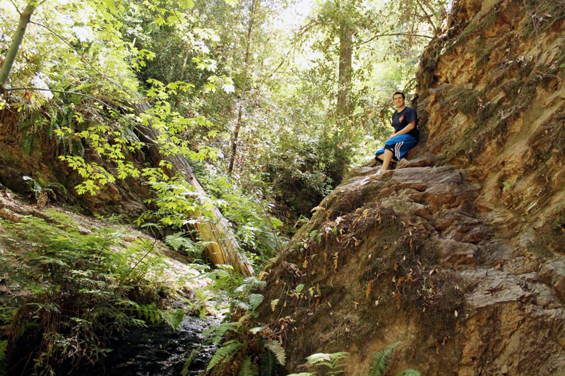 Portola Redwoods State Park