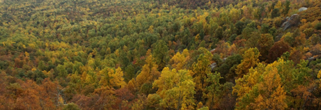 Hiking Old Rag Mountain