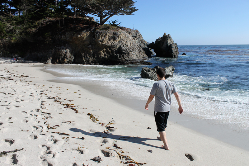 Point Lobos - Gibson Beach 