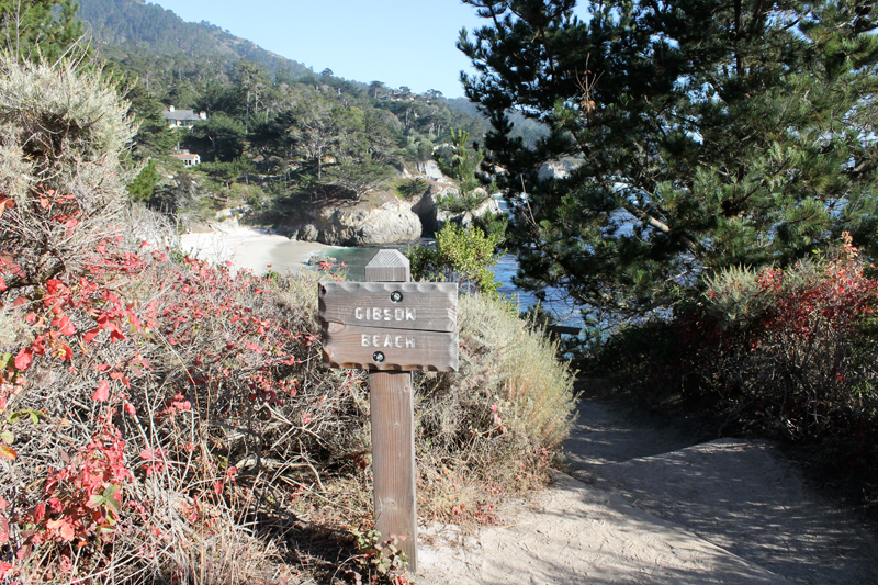 Point Lobos - Gibson Beach