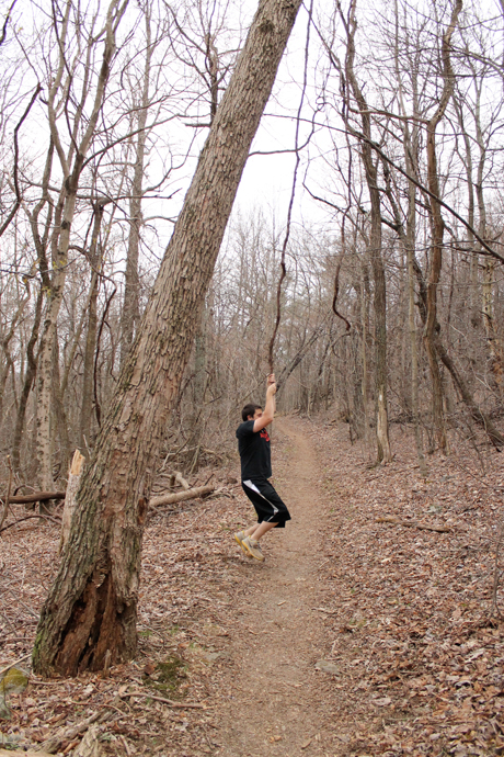 South River Falls Trail