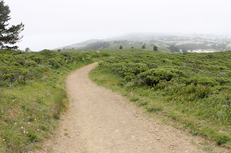 Sweeney Ridge Hiking Trail