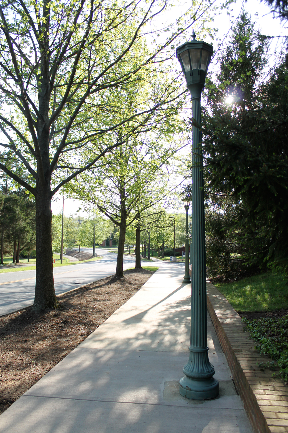 UVA Law School Spring