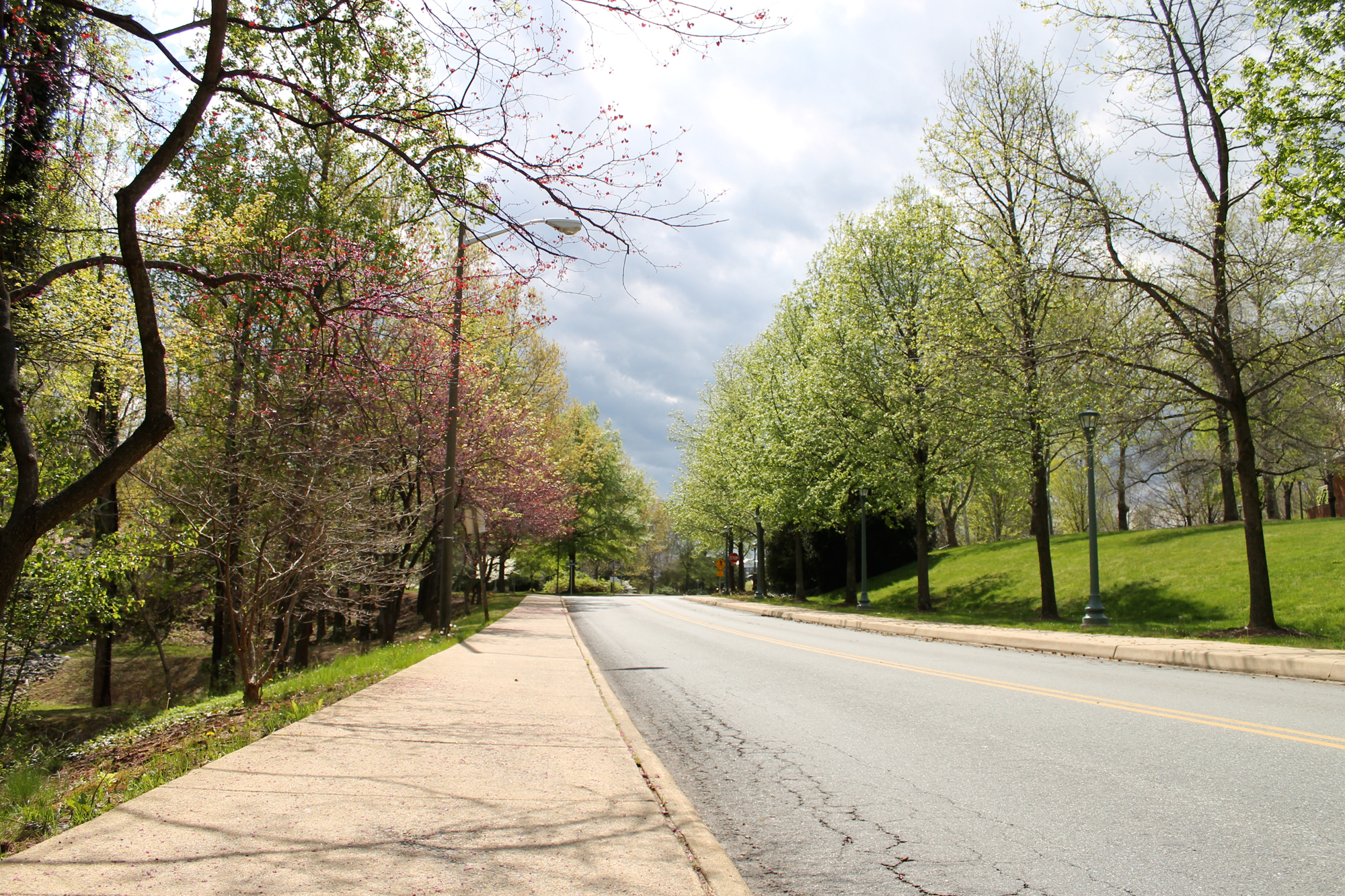 Spring at University of Virginia