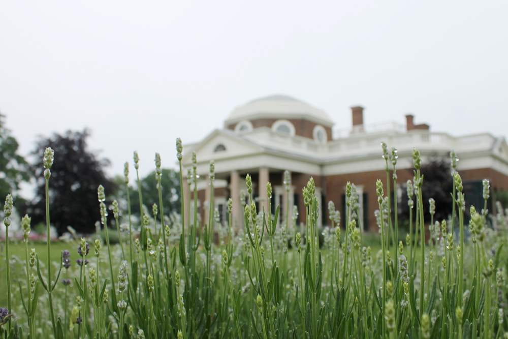 monticello_thomas_jefferson