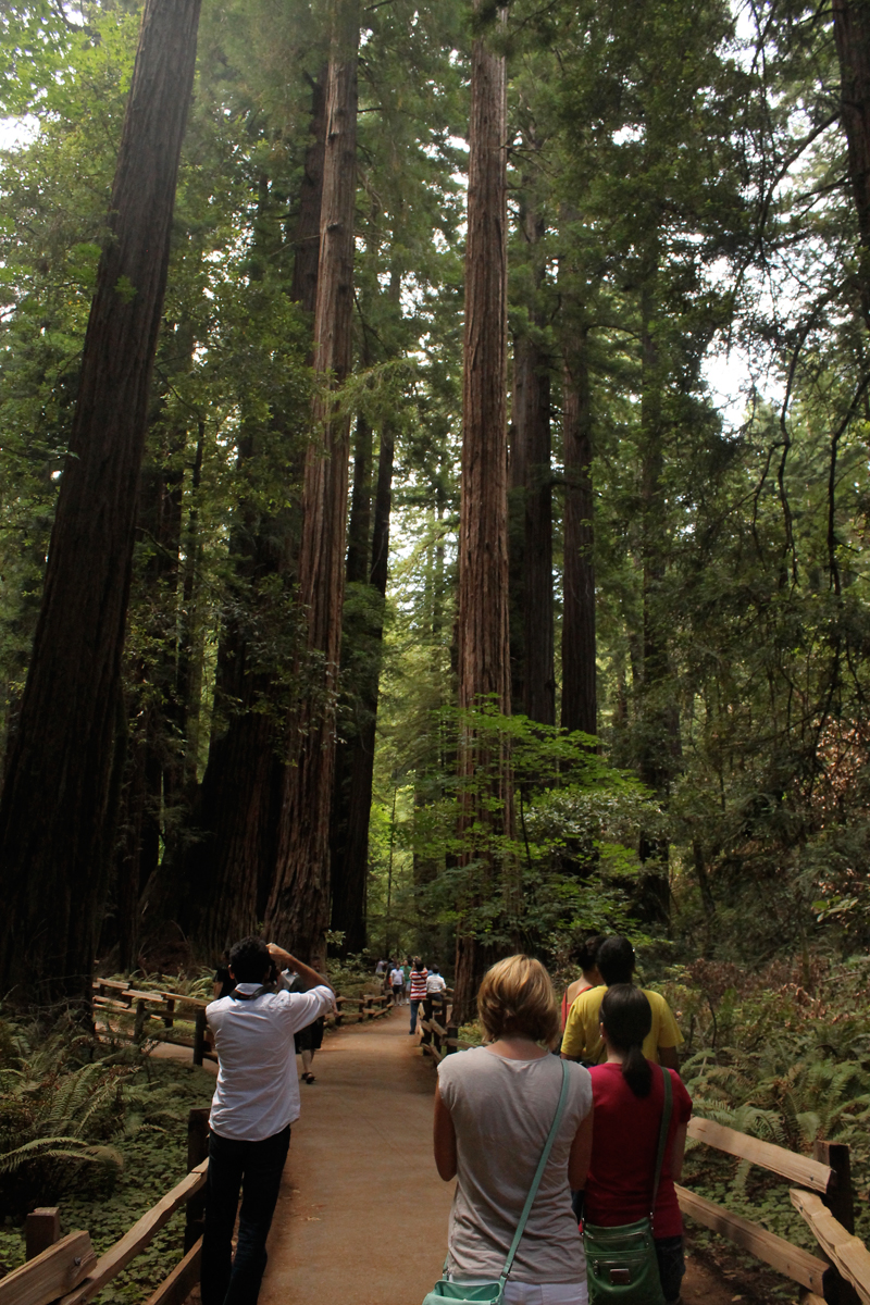 Muir Woods National Monument