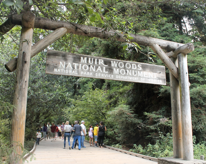 Muir Woods National Monument