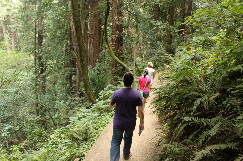 Muir Woods National Monument