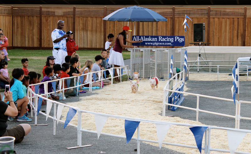 San Mateo County Fair 2014