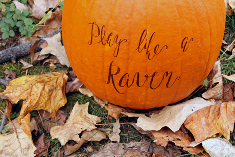 Ravens Halloween pumpkin