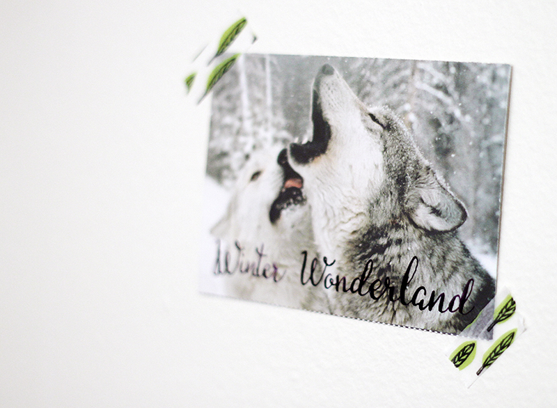 Calligraphy Wolf Postcard