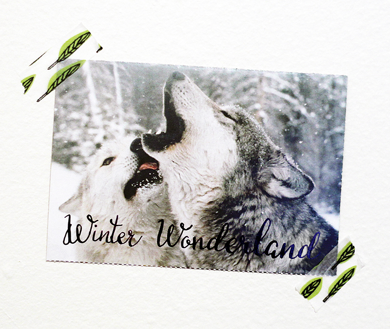 Calligraphy Wolf Postcard