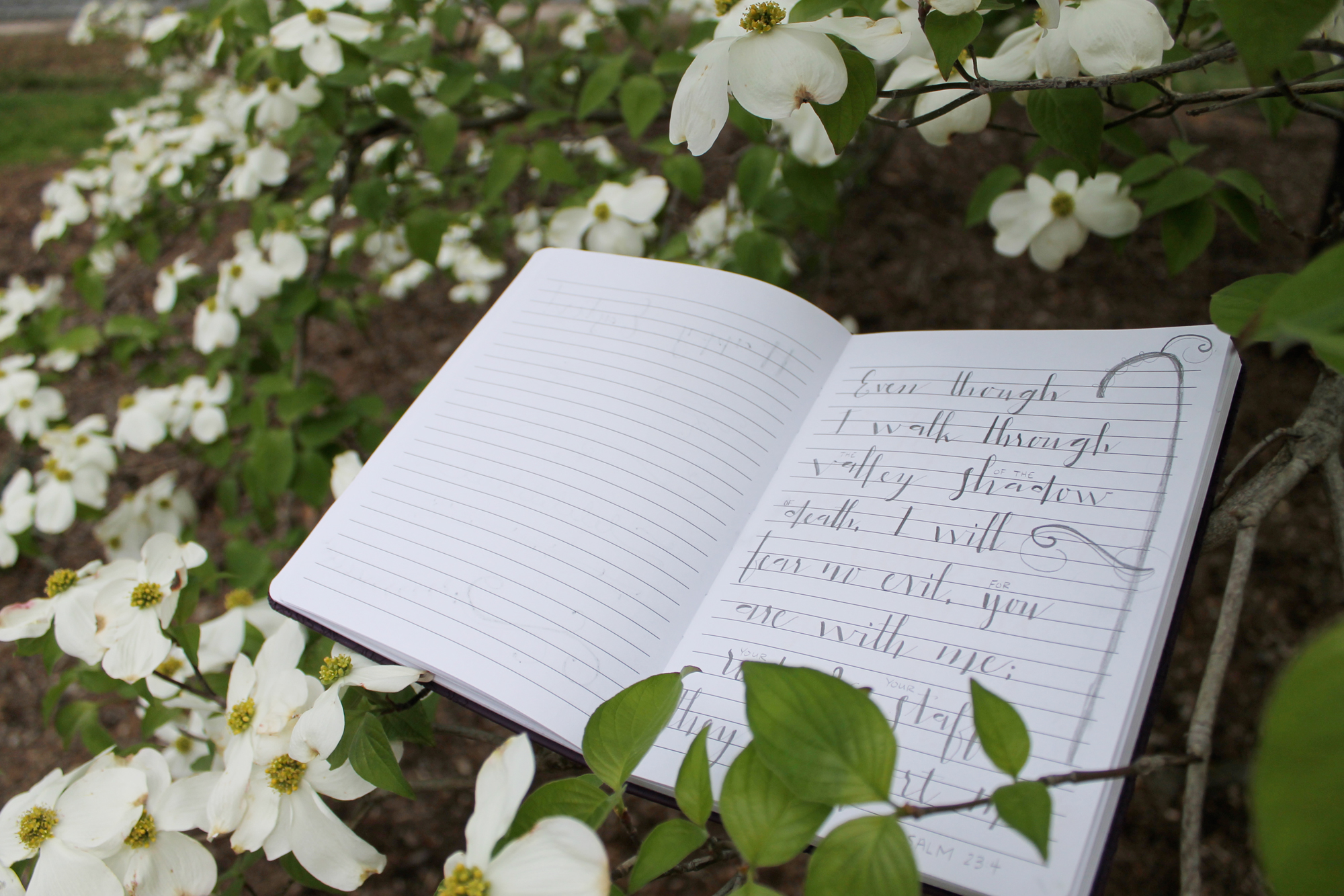 Psalm 23 Calligraphy