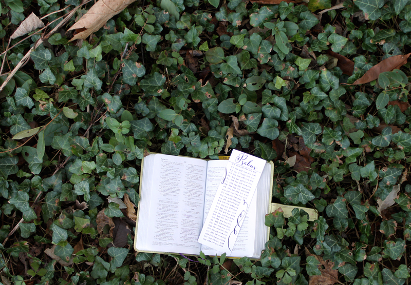 Psalms bookmark