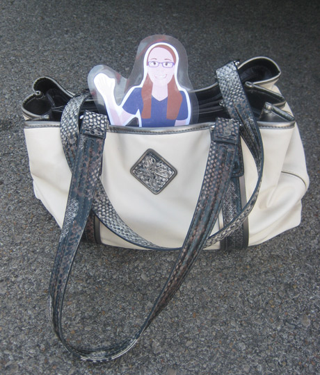 Flat Brenna purse