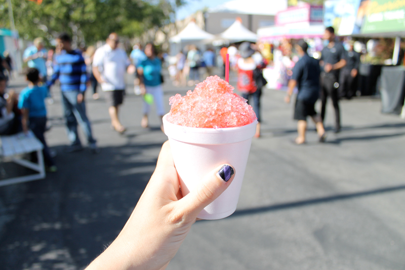 San Mateo County Fair 2014