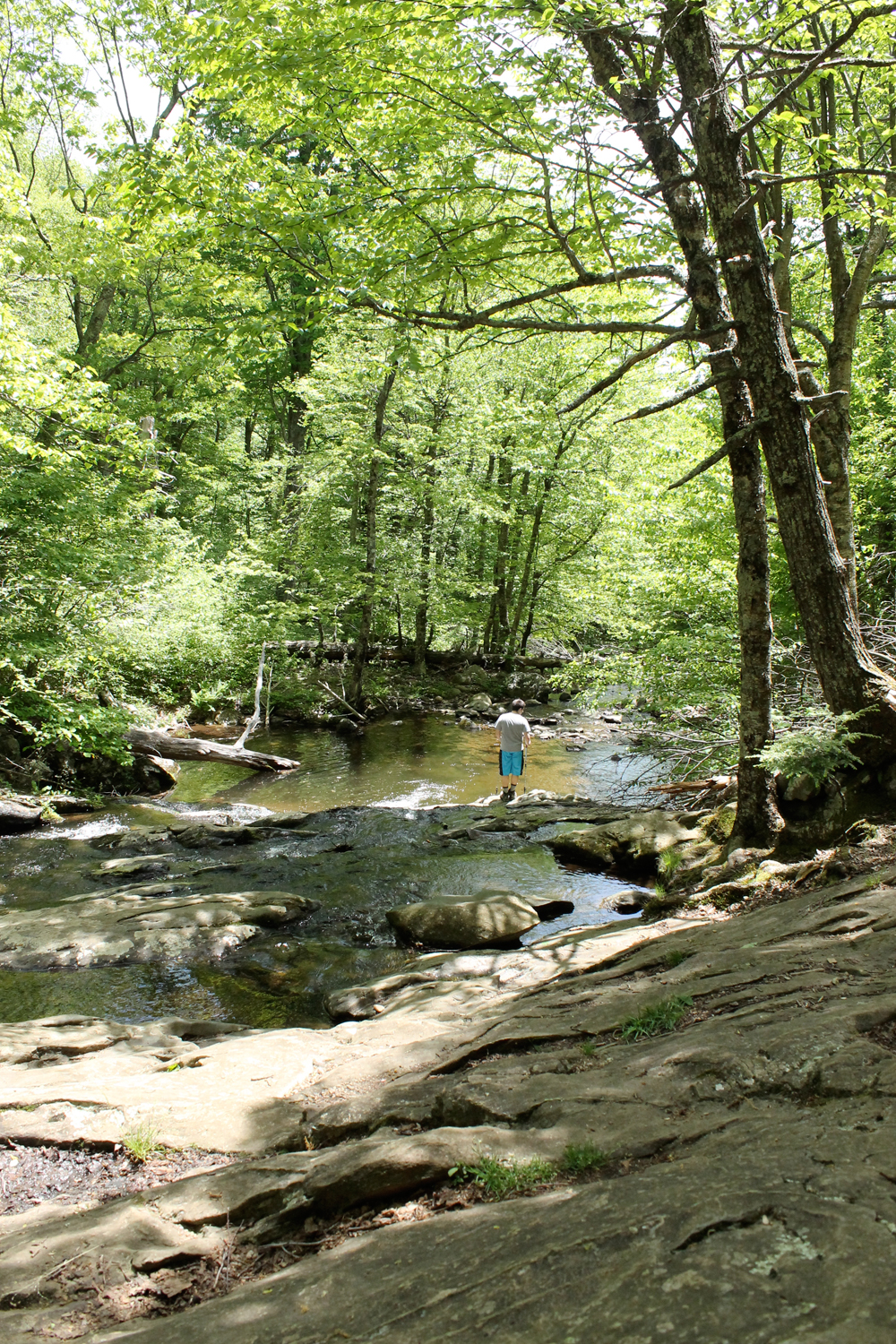 white_oak_canyon_falls